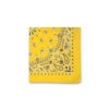 Bandana Jaune