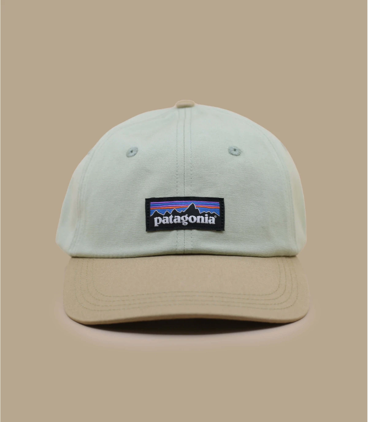 Patagonia P6 Label Trad Salvia Green 2 Patagonia P6 Label Trad Salvia Green – Image 2