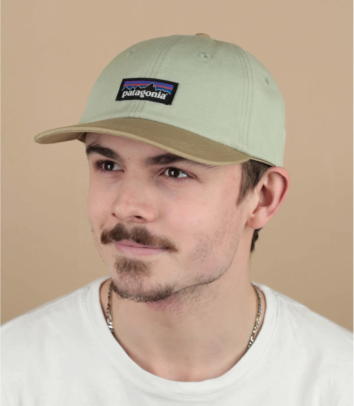 Patagonia P6 Label Trad Salvia Green 1 Patagonia P6 Label Trad Salvia Green